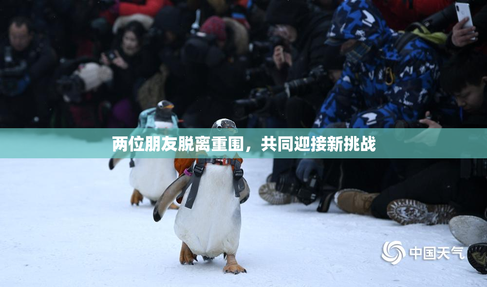 两位朋友脱离重围，共同迎接新挑战