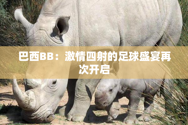 巴西BB：激情四射的足球盛宴再次开启