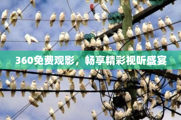 360免费观影，畅享精彩视听盛宴