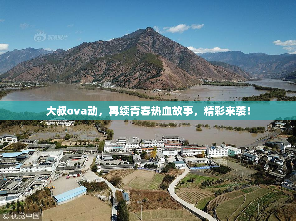 大叔ova动，再续青春热血故事，精彩来袭！
