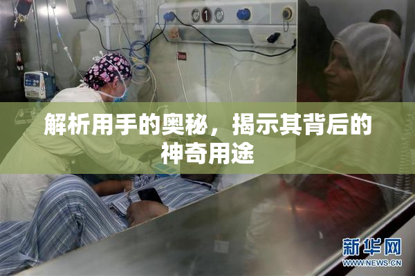 解析用手的奥秘，揭示其背后的神奇用途