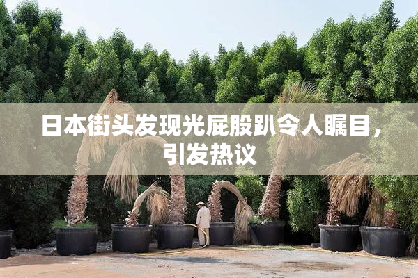 日本街头发现光屁股趴令人瞩目，引发热议