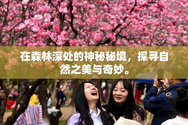 在森林深处的神秘秘境，探寻自然之美与奇妙。