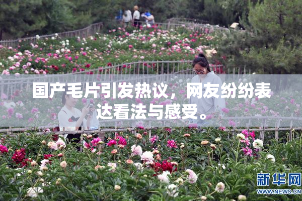国产毛片引发热议，网友纷纷表达看法与感受。