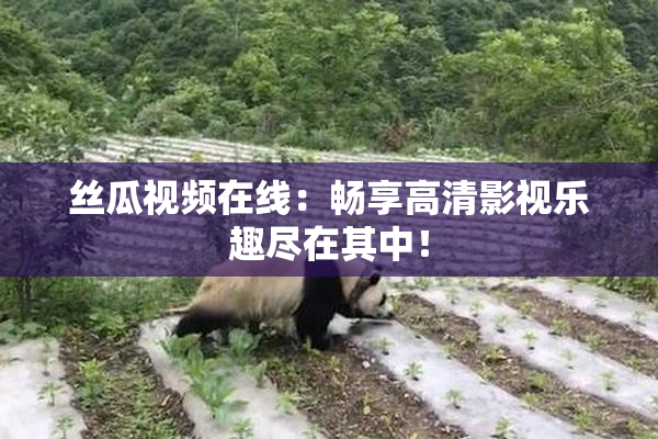 丝瓜视频在线：畅享高清影视乐趣尽在其中！