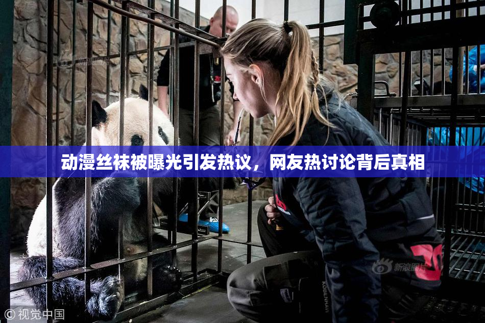 动漫丝袜被曝光引发热议，网友热讨论背后真相