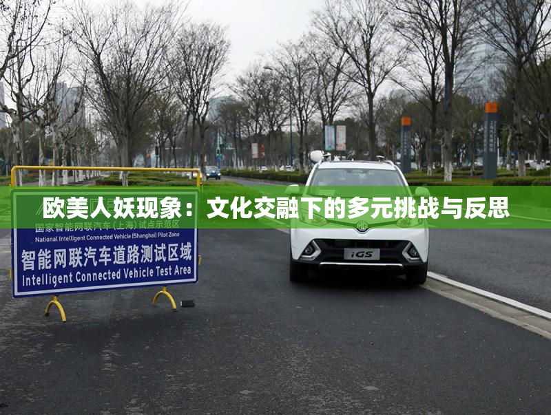 欧美人妖现象：文化交融下的多元挑战与反思