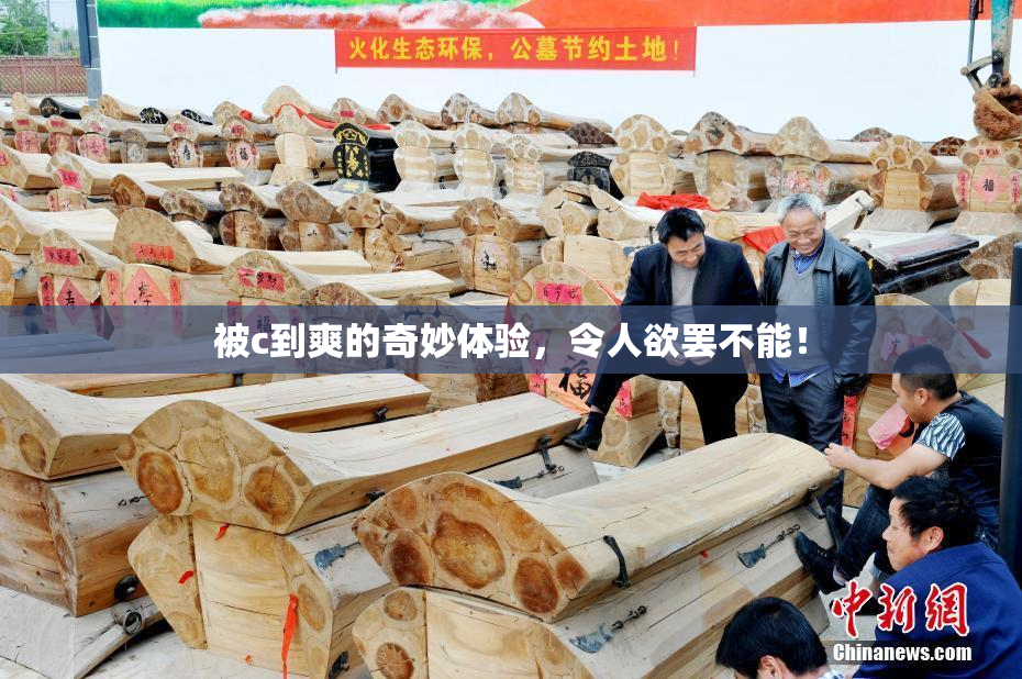 被c到爽的奇妙体验，令人欲罢不能！