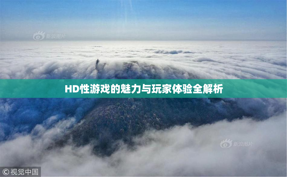HD性游戏的魅力与玩家体验全解析