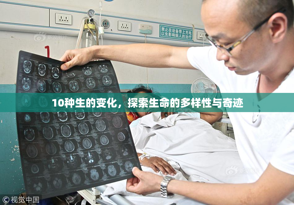 10种生的变化，探索生命的多样性与奇迹