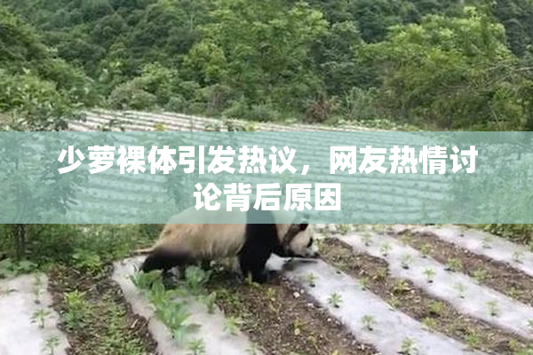 少萝裸体引发热议，网友热情讨论背后原因