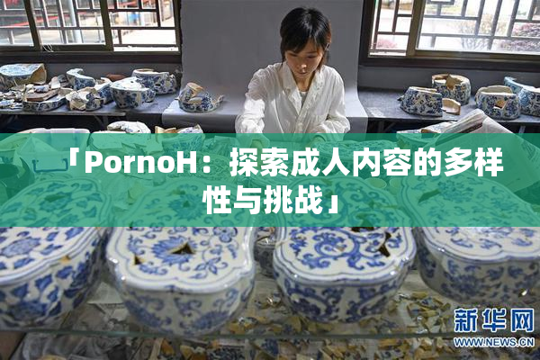 「PornoH：探索成人内容的多样性与挑战」