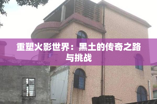 重塑火影世界：黑土的传奇之路与挑战