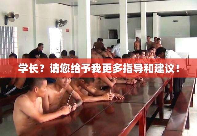 学长？请您给予我更多指导和建议！