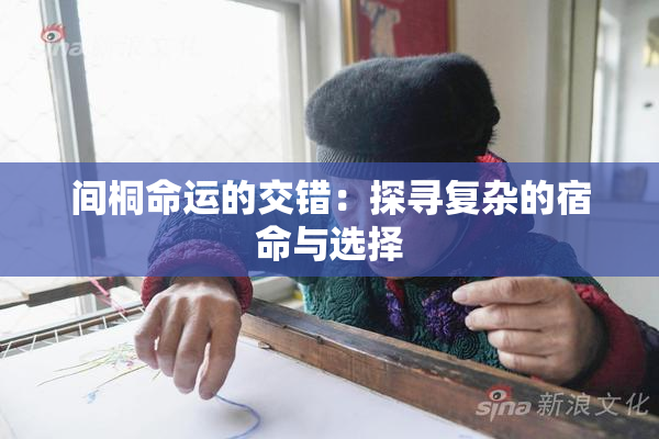 间桐命运的交错：探寻复杂的宿命与选择