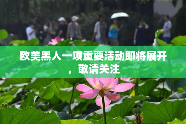 欧美黑人一项重要活动即将展开，敬请关注