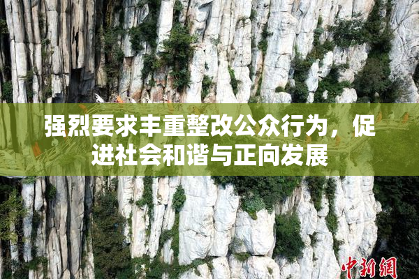 强烈要求丰重整改公众行为，促进社会和谐与正向发展