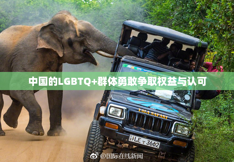 中国的LGBTQ+群体勇敢争取权益与认可