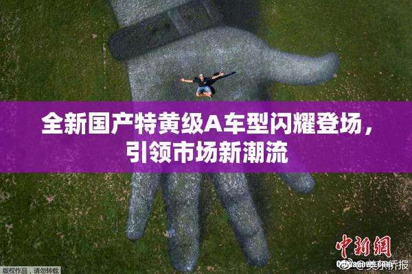 全新国产特黄级A车型闪耀登场，引领市场新潮流