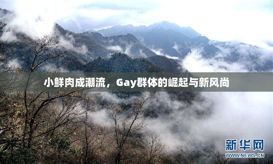 小鲜肉成潮流，Gay群体的崛起与新风尚