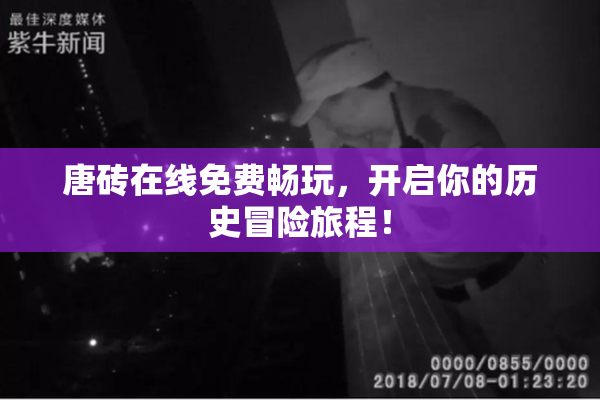 唐砖在线免费畅玩，开启你的历史冒险旅程！