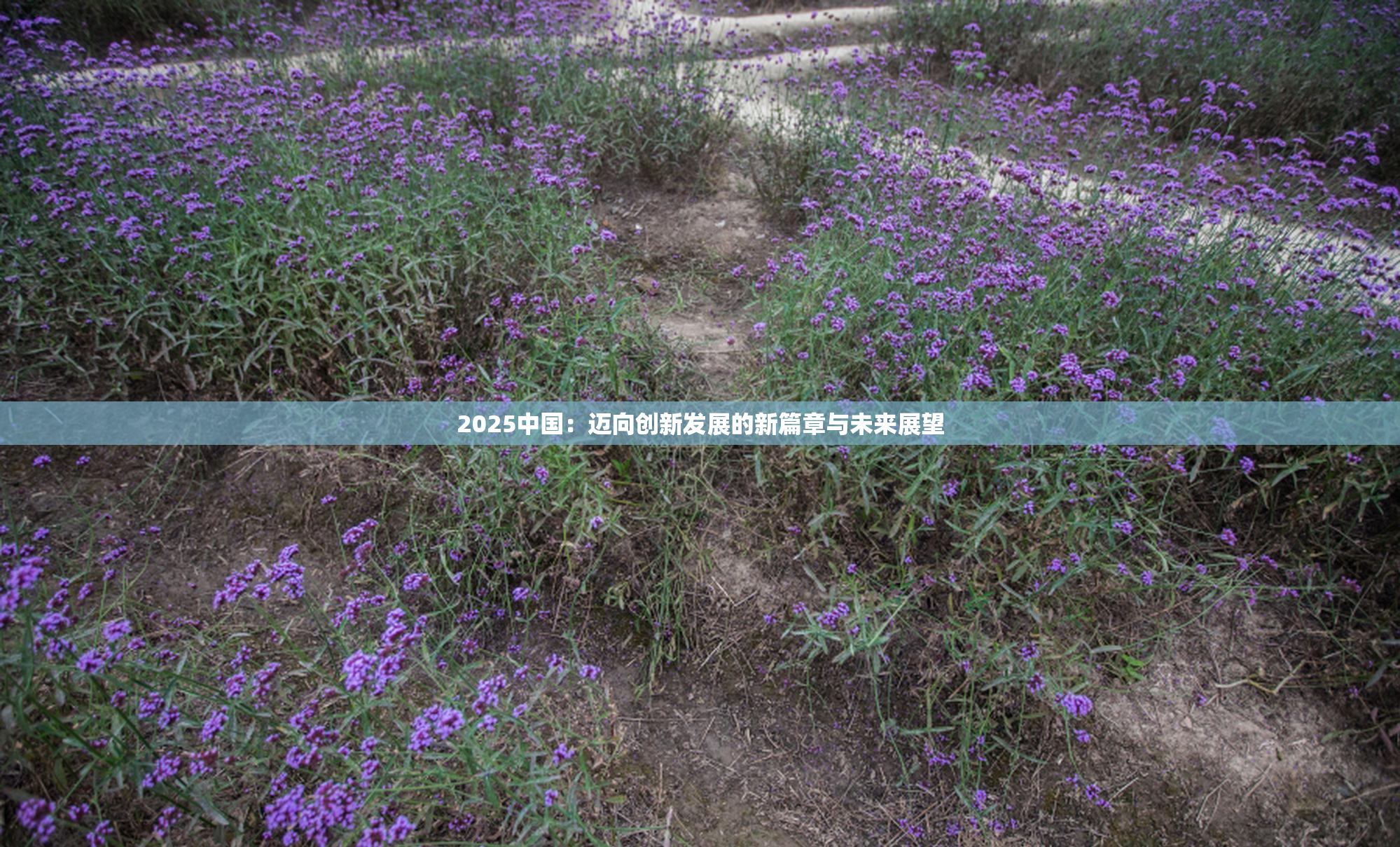 2025中国：迈向创新发展的新篇章与未来展望