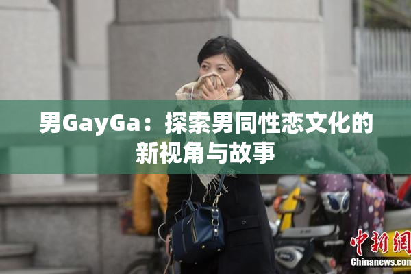男GayGa：探索男同性恋文化的新视角与故事
