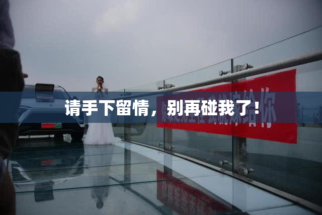 请手下留情，别再碰我了！