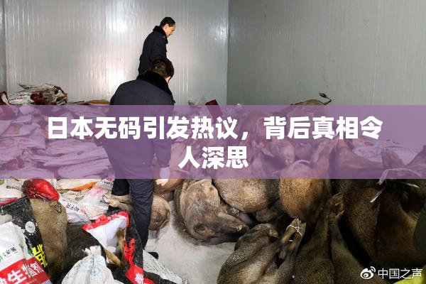 日本无码引发热议，背后真相令人深思