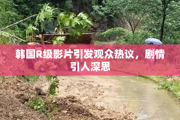 韩国R级影片引发观众热议，剧情引人深思