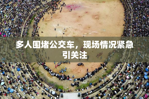 多人围堵公交车，现场情况紧急引关注