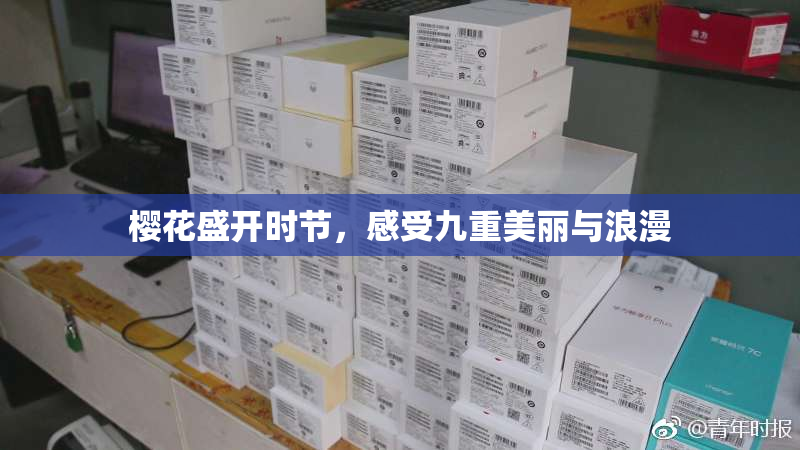樱花盛开时节，感受九重美丽与浪漫