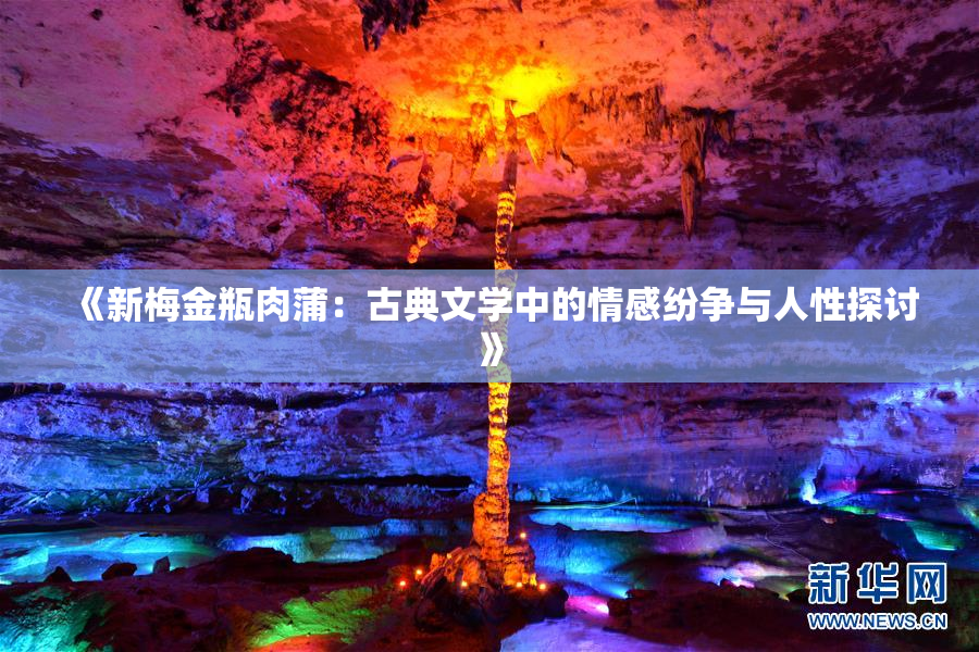 《新梅金瓶肉蒲：古典文学中的情感纷争与人性探讨》