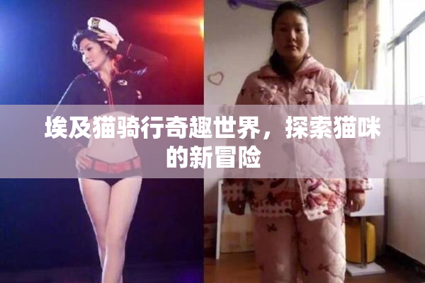 埃及猫骑行奇趣世界，探索猫咪的新冒险