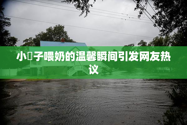 小峓子喂奶的温馨瞬间引发网友热议