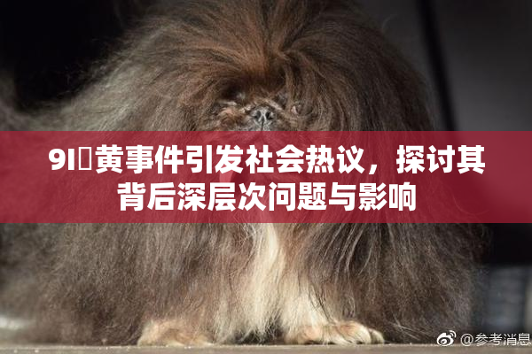 9I婬黄事件引发社会热议，探讨其背后深层次问题与影响