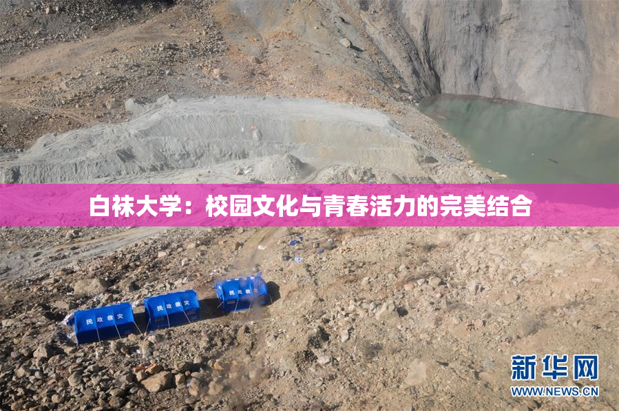 白袜大学：校园文化与青春活力的完美结合