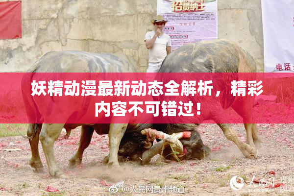 妖精动漫最新动态全解析，精彩内容不可错过！