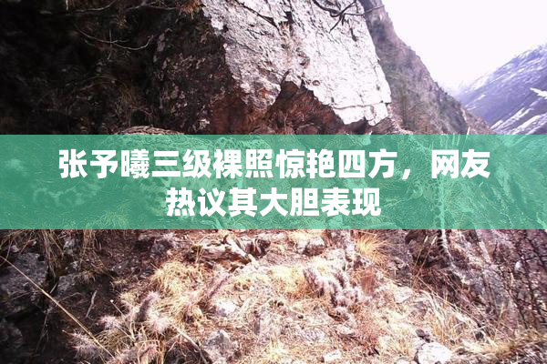 张予曦三级裸照惊艳四方，网友热议其大胆表现