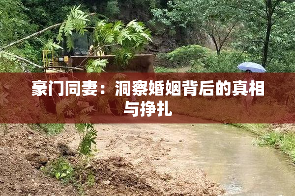 豪门同妻：洞察婚姻背后的真相与挣扎