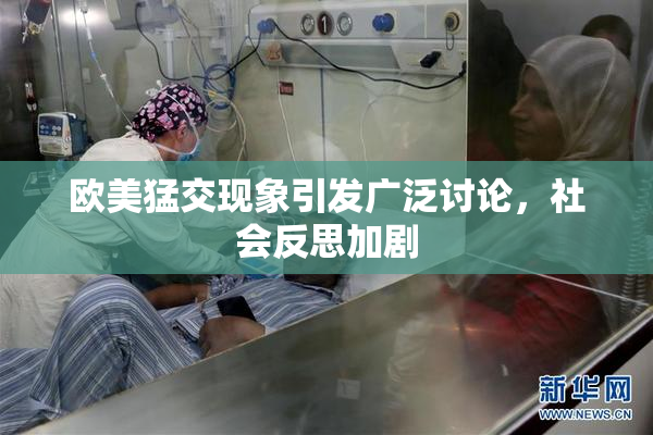 欧美猛交现象引发广泛讨论，社会反思加剧