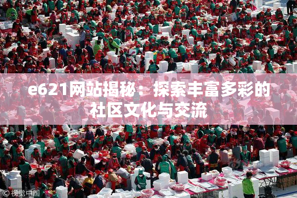 e621网站揭秘：探索丰富多彩的社区文化与交流