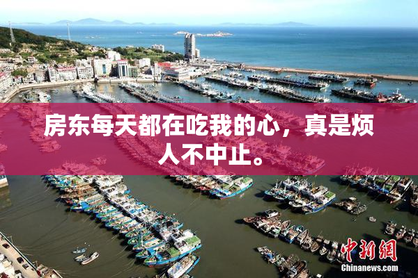 房东每天都在吃我的心，真是烦人不中止。