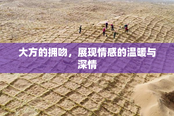 大方的拥吻，展现情感的温暖与深情