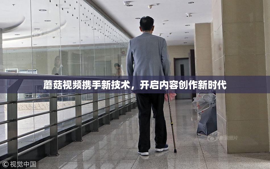 蘑菇视频携手新技术，开启内容创作新时代