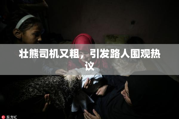 壮熊司机又粗，引发路人围观热议