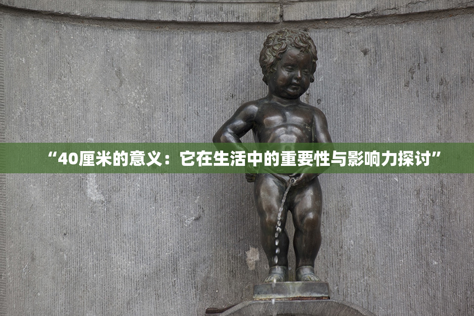 “40厘米的意义：它在生活中的重要性与影响力探讨”