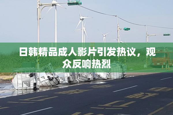 日韩精品成人影片引发热议，观众反响热烈
