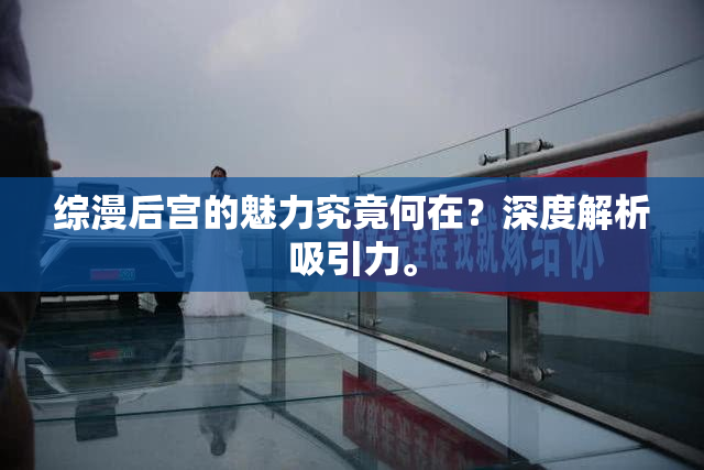 综漫后宫的魅力究竟何在？深度解析吸引力。