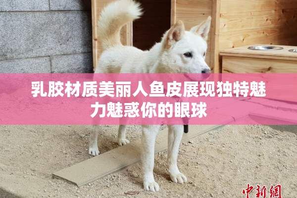 乳胶材质美丽人鱼皮展现独特魅力魅惑你的眼球